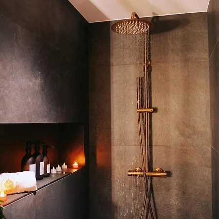 Mana - De Luxe Avec Jacuzzi Xxl Appartement Tarare